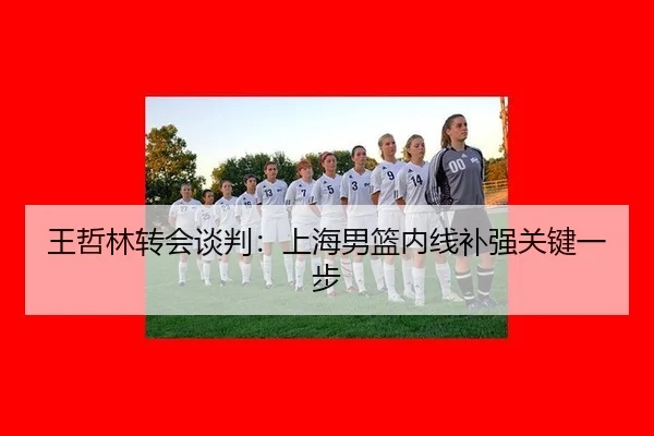 王哲林转会谈判：上海男篮内线补强关键一步