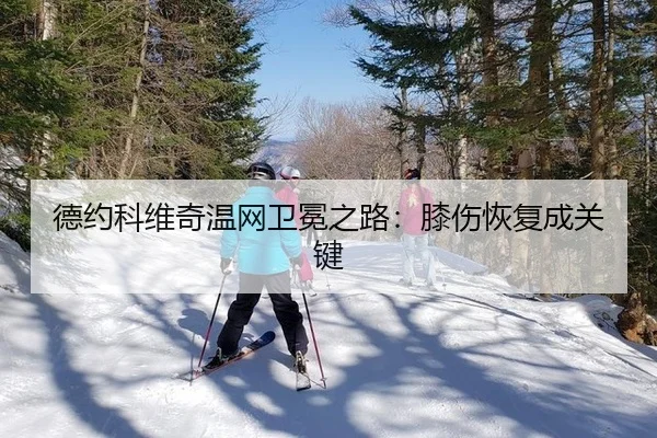 德约科维奇温网卫冕之路：膝伤恢复成关键