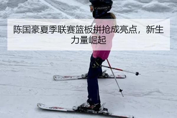 陈国豪夏季联赛篮板拼抢成亮点，新生力量崛起