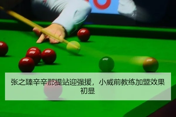 zhang-zhi-zhen-xin-xin-na-ti-zhan-ying-qiang-yuan-xiao-wei-qian-jiao-lian-jia-meng-xiao-guo-chu-xian-2-735.jpg