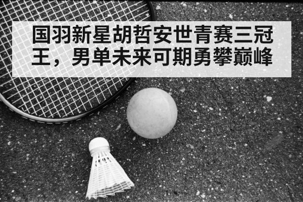 badminton competition match